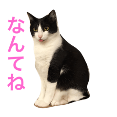 [LINEスタンプ] オソメとスズ