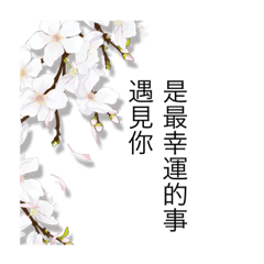 [LINEスタンプ] Missing is a disease_Pear blossom mood