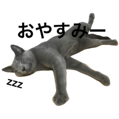 [LINEスタンプ] ネオジン＋