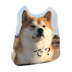 [LINEスタンプ] 柴犬りんたろう