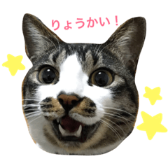 [LINEスタンプ] ちびむぎ