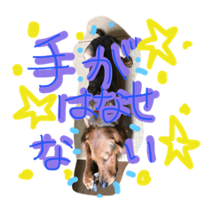 [LINEスタンプ] わたしの犬はポテトです