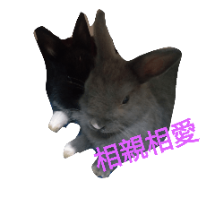 [LINEスタンプ] Three rabbit baby