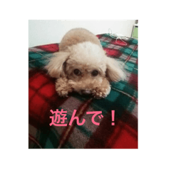 [LINEスタンプ] 愛犬ひな