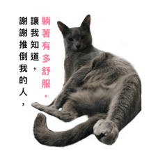 [LINEスタンプ] Russian Blue cat daily