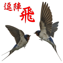 [LINEスタンプ] fly together