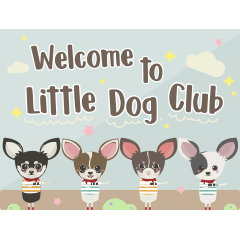 [LINEスタンプ] Little Dog Club (Chihuahua)