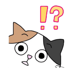 [LINEスタンプ] 毎日使える三毛猫さんスタンプ