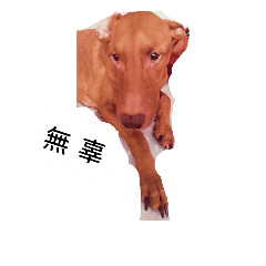 [LINEスタンプ] super dog dog