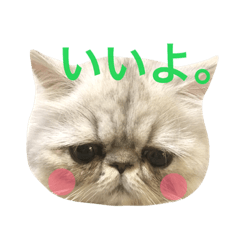 [LINEスタンプ] はにゃぺちゃ 6