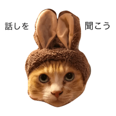 [LINEスタンプ] 猫日和ちゃなつVer.