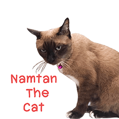 [LINEスタンプ] NamTan The Cat