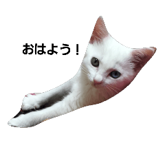 [LINEスタンプ] ky0303