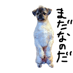 [LINEスタンプ] ぬーくと愉快な仲間達