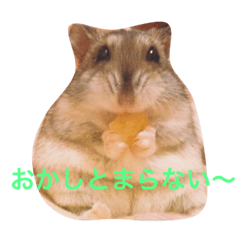 [LINEスタンプ] プリティーペット