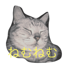 [LINEスタンプ] what animals want to say