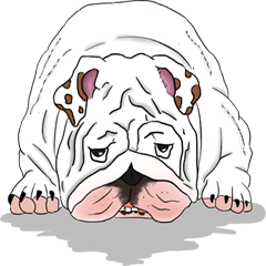 [LINEスタンプ] Mali English bulldog