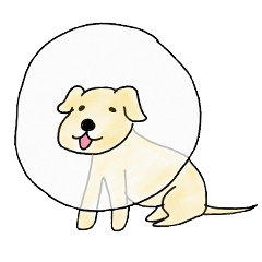 [LINEスタンプ] Cookie with Buster collar