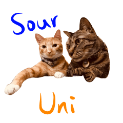 [LINEスタンプ] The dramatic Life of Sour ＆ Uni