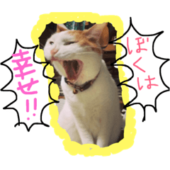 [LINEスタンプ] はくにゃんスタンプ