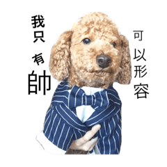 [LINEスタンプ] three little dogs