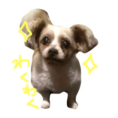 [LINEスタンプ] 可愛いディック