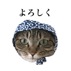 [LINEスタンプ] うめこむふわスタンプ