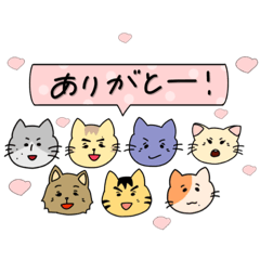 [LINEスタンプ] 楽しいアホの集まりな猫ちゃんズ