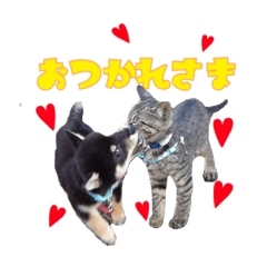 [LINEスタンプ] ゴンとプーとジジ