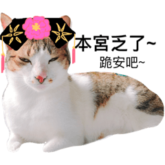 [LINEスタンプ] meow mewo