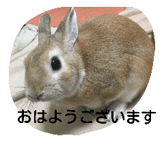 [LINEスタンプ] monaka rabbit photo 8