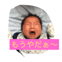 [LINEスタンプ] ダッチ72だよ〜