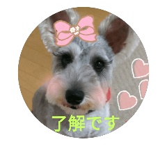 [LINEスタンプ] schnauzer＆background