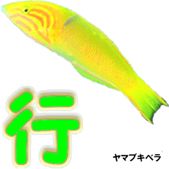 [LINEスタンプ] 沖縄の黄色い魚の一文字漢字の画像（メイン）