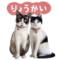 [LINEスタンプ] my house cats2