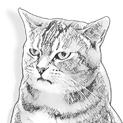 [LINEスタンプ] Gorma the Cat