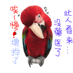 [LINEスタンプ] birds2