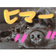 [LINEスタンプ] くぅと大稀