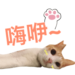 [LINEスタンプ] Migan meow