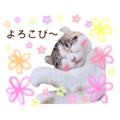 [LINEスタンプ] Pet's pastel stickerの画像（メイン）