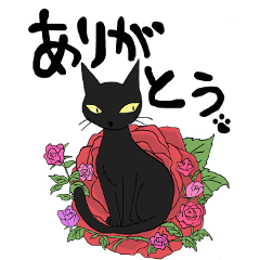 [LINEスタンプ] 黒猫で会話の画像（メイン）