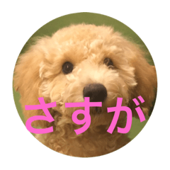 [LINEスタンプ] ふくちゃんラインスタンプ