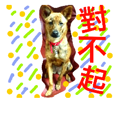 [LINEスタンプ] Taiwan Brindle Dog 2