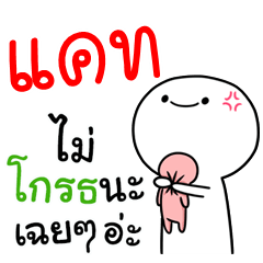 [LINEスタンプ] I am Cat Circular Cute3