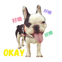 [LINEスタンプ] Duke Dog