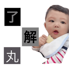 [LINEスタンプ] いず丸