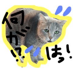 [LINEスタンプ] カリパン