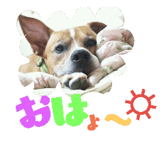 [LINEスタンプ] ペットの