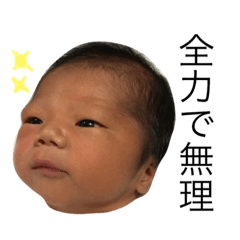 [LINEスタンプ] 辛辣なこてつくん