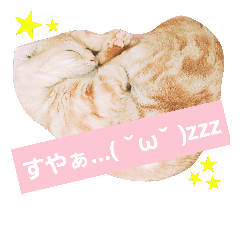 [LINEスタンプ] ぺぺ太郎